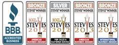 Stevie Awards.jpg